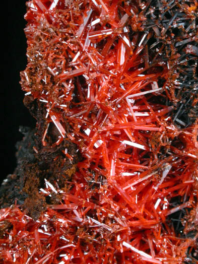 Crocoite from Kapie Mine, Dundas, Tasmania, Australia