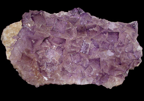 Fluorite on Barite from Caldwell Stone Quarry, Danville, Boyle County, Kentucky