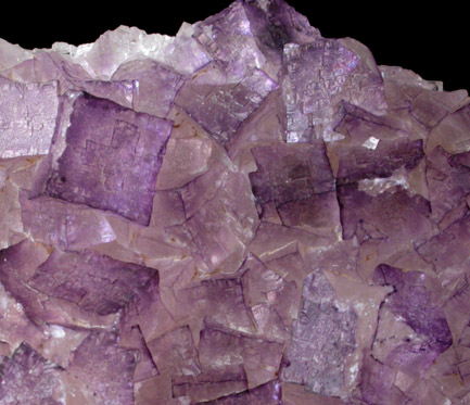 Fluorite on Barite from Caldwell Stone Quarry, Danville, Boyle County, Kentucky