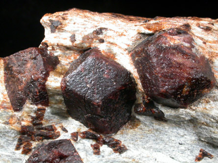 Almandine Garnet with Staurolite from Green's Farm, 750 m. ESE of Roxbury Falls, Roxbury, New Haven County, Connecticut