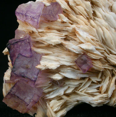 Barite with Fluorite from Caldwell Stone Quarry, Danville, Boyle County, Kentucky