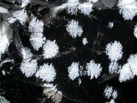 Obsidian with Cristobalite inclusions (Snowflake Obsidian) from California