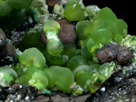 Smithsonite with Aurichalcite from 79 Mine, Banner District, near Hayden, Gila County, Arizona