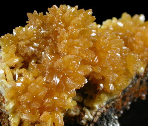 Mimetite from Mina el Potos, Santa Eulalia District, Aquiles Serdn, Chihuahua, Mexico