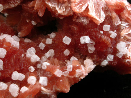 Inesite and Apophyllite from Wessels Mine, Kalahari Manganese Field, Northern Cape Province, South Africa