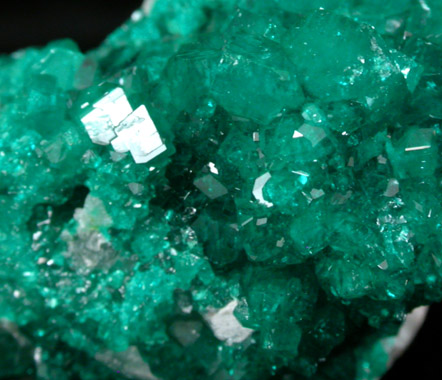 Dioptase from Tsumeb Mine, Otavi-Bergland District, Oshikoto, Namibia