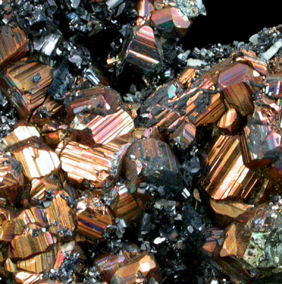 Pyrite and Enargite from Leonard Mine, Butte Mining District, Summit Valley, Silver Bow County, Montana