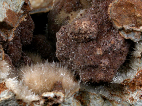 Kutnohorite and Aragonite from Levane, Val D'Arno, Tuscany, Italy