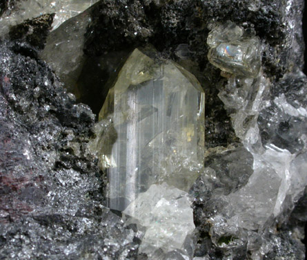 Anglesite on Galena from Monteponi Mine, Iglesias, Sardinia, Italy