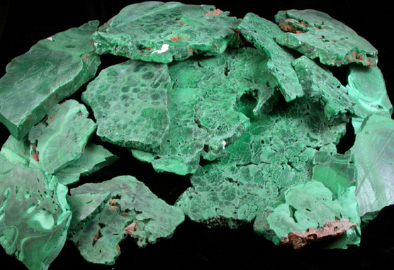 Malachite (lapidary-grade rough slabs) from Kolwezi Mining District, 240 km WNW of  Lubumbashi, Katanga Copperbelt, Lualaba Province, Democratic Republic of the Congo