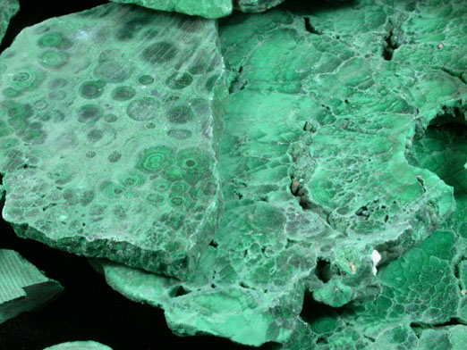 Malachite (lapidary-grade rough slabs) from Kolwezi Mining District, 240 km WNW of Lubumbashi, Katanga Copperbelt, Lualaba Province, Democratic Republic of the Congo