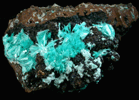 Aurichalcite from 79 Mine, Banner District, near Hayden, Gila County, Arizona