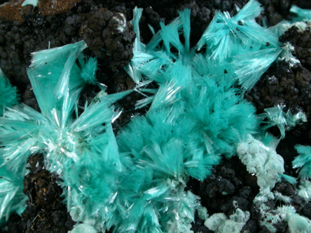 Aurichalcite from 79 Mine, Banner District, near Hayden, Gila County, Arizona