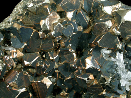 Pyrite from (Eagle Mine?), Colorado