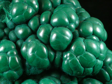 Malachite from Kolwezi Mining District, 240 km WNW of  Lubumbashi, Katanga Copperbelt, Lualaba Province, Democratic Republic of the Congo