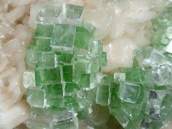 Apophyllite on Stilbite from Momin Akhada, near Rahuri, 50 km north of Ahmednagar, Maharashtra, India (Type Locality for Collected ca. 2001)