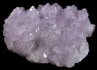 Quartz var. Amethyst from Veta Madre District, Guanajuato, Mexico