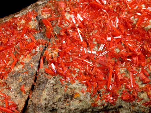 Crocoite from Dundas, Tasmania, Australia