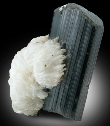 Schorl Tourmaline with Albite from Skardu District, Baltistan, Gilgit-Baltistan, Pakistan