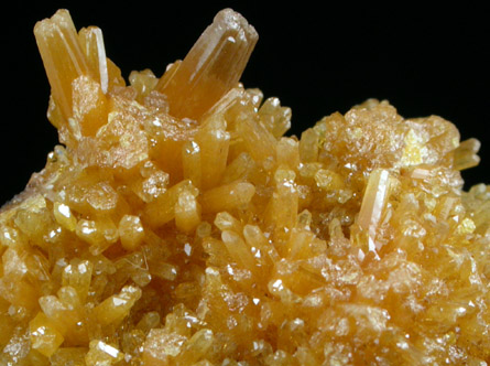 Mimetite from Congreso-Len Mine, San Pedro Corralitos, Chihuahua, Mexico