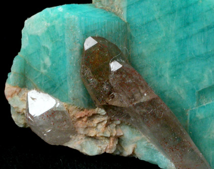 Microcline var. Amazonite with Smoky Quartz from Crystal Peak area, 6.5 km northeast of Lake George, Park-Teller Counties, Colorado