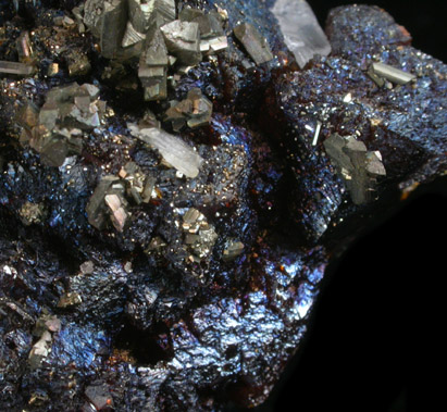 Sphalerite, Marcasite, Gypsum from Tri-State Lead-Zinc Mining District, near Joplin, Jasper County, Missouri