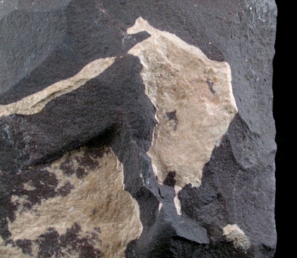 Teratolite (Kaolinite+Quartz+Goethite+Mica) from Zwickau, Saxony, Germany