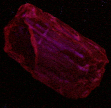 Scapolite (Meionite-Marialite) 10.6 gram gem-grade rough from Umba Valley, Tanzania