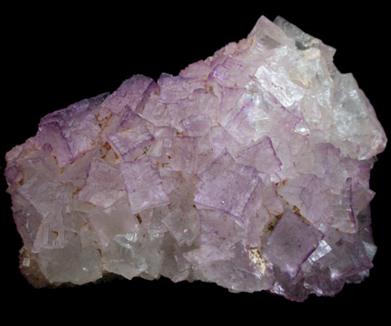 Fluorite on Barite from Caldwell Stone Quarry, Danville, Boyle County, Kentucky