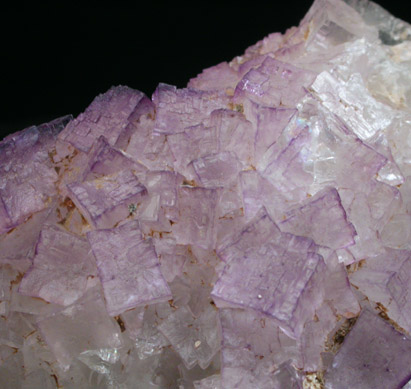 Fluorite on Barite from Caldwell Stone Quarry, Danville, Boyle County, Kentucky