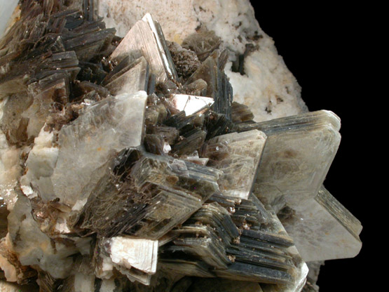 Muscovite (fishtail-twinned crystals) from Minas Gerais, Brazil