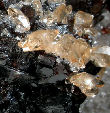 Sphalerite with Calcite from Elmwood Mine, Carthage, Smith County, Tennessee