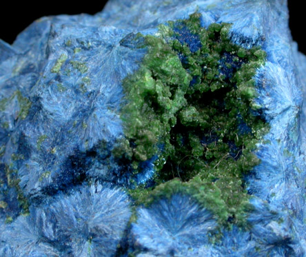 Shattuckite, Ajoite, Conichalcite from New Cornelia Mine, Ajo, Pima County, Arizona (Type Locality for Ajoite)