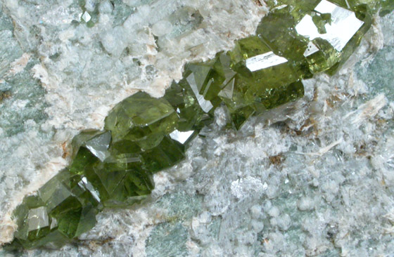 Andradite var. Demantoid Garnet from Val Malenco, Sondrio, Italy