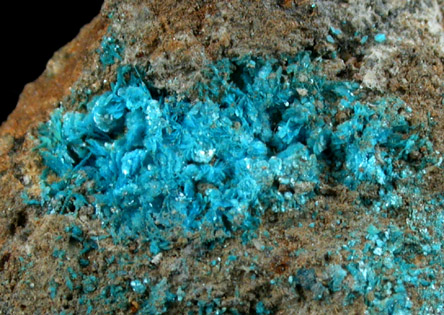 Posnjakite from Alte Buntekuh Mine, Niederschelden, Siegerland, Germany