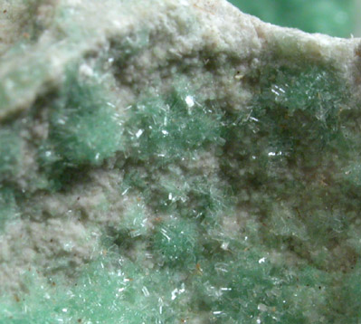 Metavariscite from Utahlite Hill, Lucin, Box Elder County, Utah (Type Locality for Metavariscite)