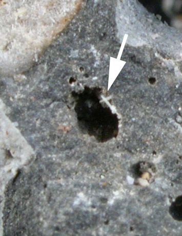 Thorikosite from Thorikon Beach, Lavrion District, Attiki, Greece (Type Locality for Thorikosite)