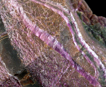 Stichtite with Barbertonite from Kaapschehoop, Barberton District, Mpumalanga Province, South Africa (Type Locality for Barbertonite)