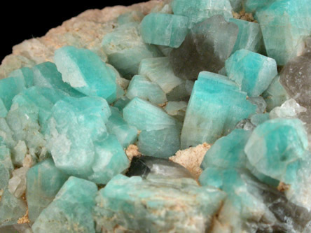 Microcline var. Amazonite from Crystal Peak area, 6.5 km northeast of Lake George, Park-Teller Counties, Colorado