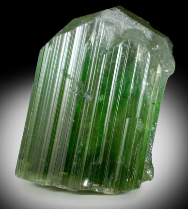 Elbaite Tourmaline from Paprok, Kamdesh District, Nuristan Province, Afghanistan