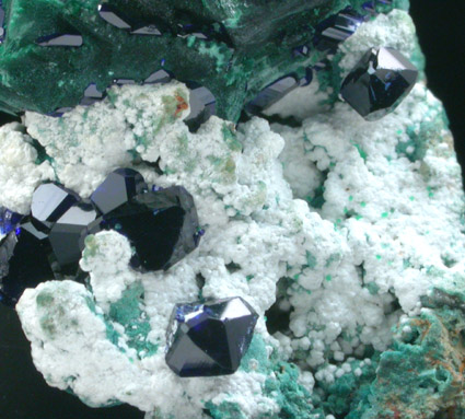 Malachite pseudomorphs after Azurite with Azurite from Tsumeb Mine, Otavi-Bergland District, Oshikoto, Namibia