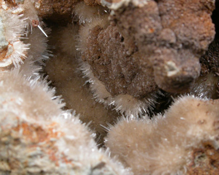 Kutnohorite and Aragonite from Levane, Val D'Arno, Tuscany, Italy