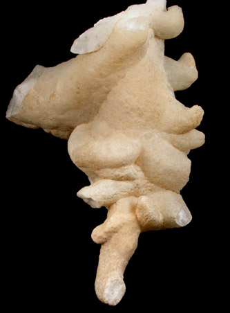 Calcite Stalactite from Wyandotte Cave, Crawford County, Indiana