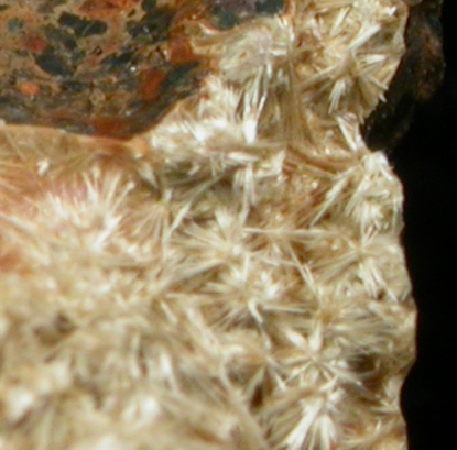 Ferrostrunzite from Raccoon Creek, Mullica Hill, Gloucester County, New Jersey (Type Locality for Ferrostrunzite)