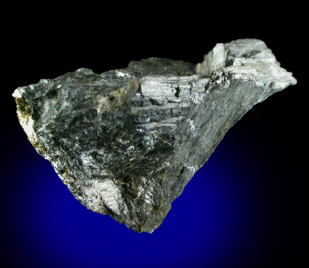 Weibullite and Chalcopyrite in Actinolite from Falun, Kopparberg, Sweden (Type Locality for Weibullite)