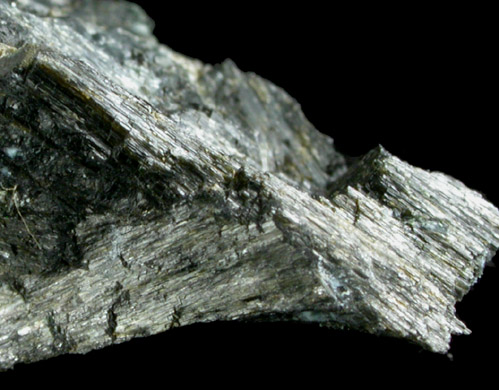 Weibullite and Chalcopyrite in Actinolite from Falun, Kopparberg, Sweden (Type Locality for Weibullite)