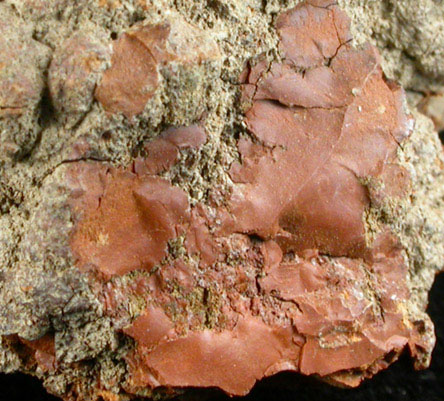 Delvauxite from Berneau, Vise, Lige, Belgium (Type Locality for Delvauxite)
