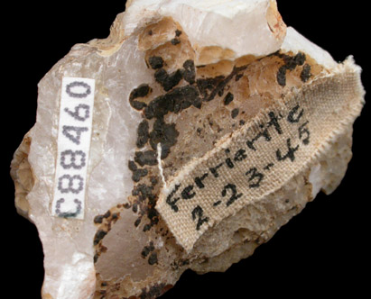 Ferrierite-Mg from railroad cut on north shore of Kamloops Lake, southeast of Rosseau Creek, British Columbia, Canada (Type Locality for Ferrierite-Mg)
