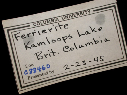 Ferrierite-Mg from railroad cut on north shore of Kamloops Lake, southeast of Rosseau Creek, British Columbia, Canada (Type Locality for Ferrierite-Mg)