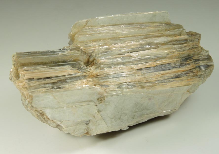 Muscovite from Harlem Meer, in the northeast corner of Central Park, New York City, New York County, New York